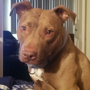 Meet your Posher, Marcus